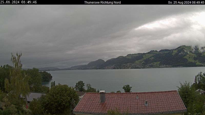 Spiez › Norden: Thunersee