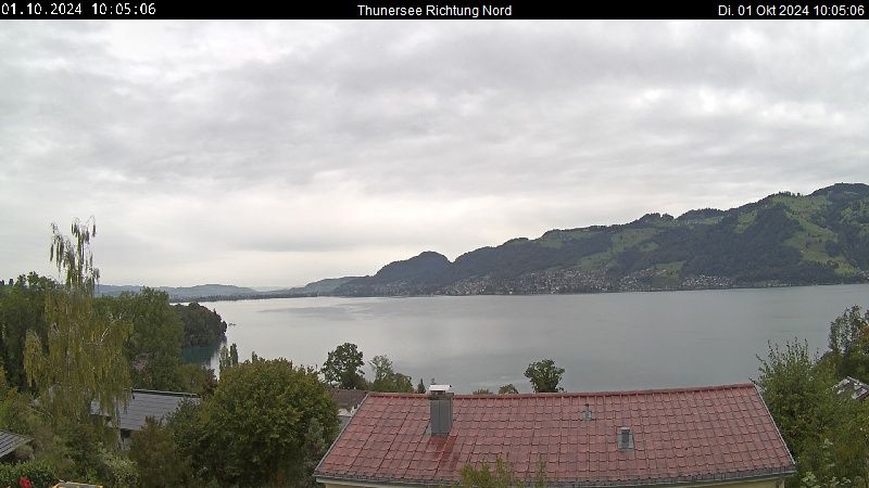 Spiez › Norden: Thunersee