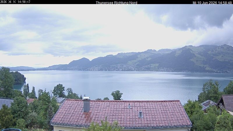 Spiez › Norden: Thunersee