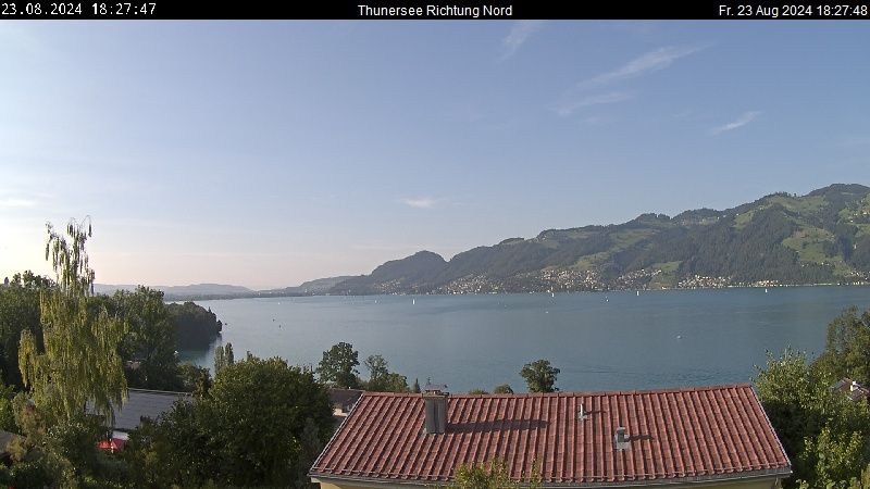 Spiez › Norden: Thunersee