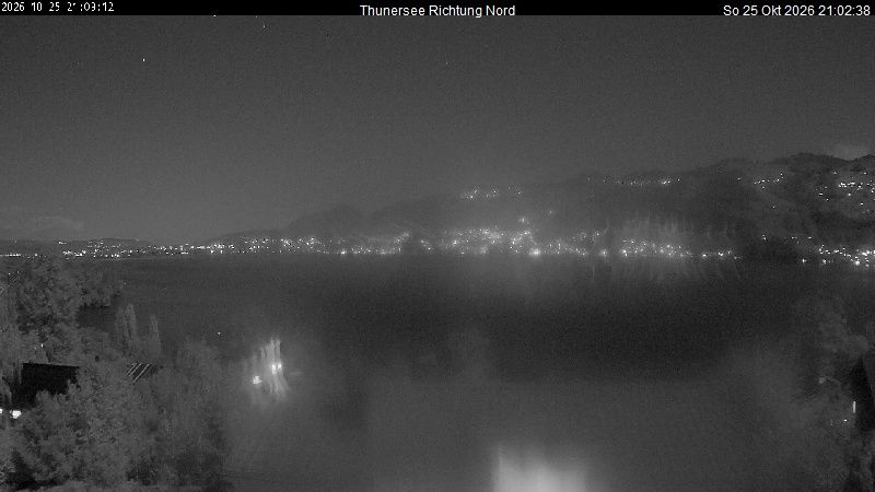 Spiez › Norden: Thunersee