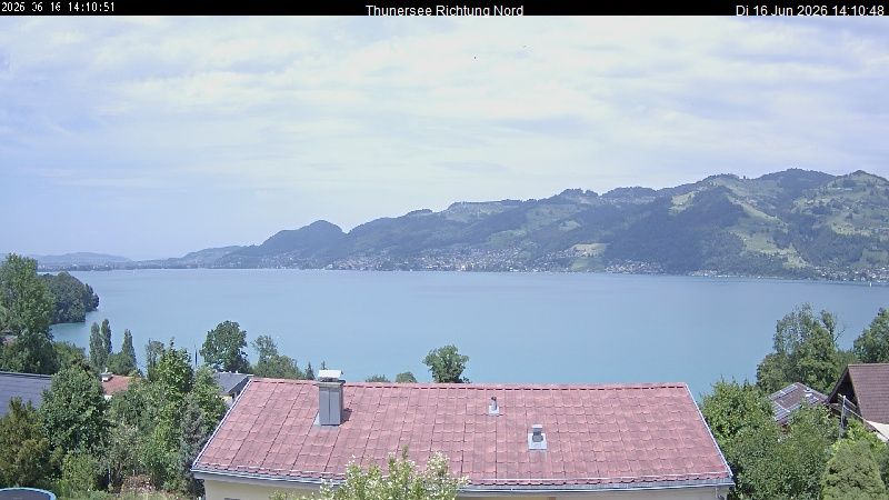 Spiez › Norden: Thunersee