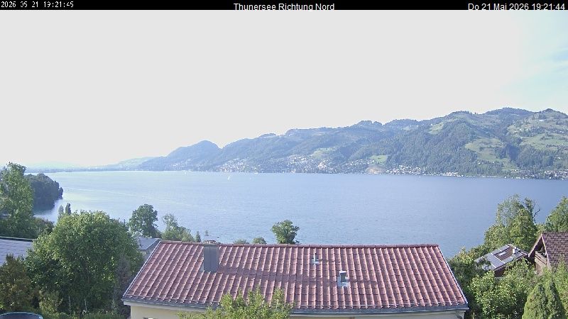 Spiez › Norden: Thunersee
