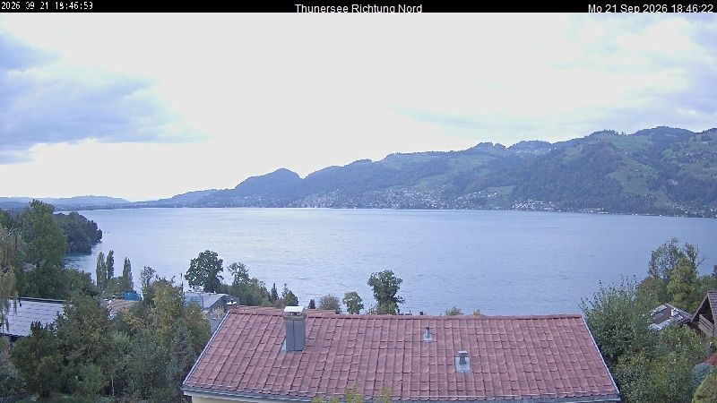 Spiez › Norden: Thunersee
