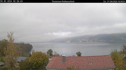 Spiez › Norden: Thunersee