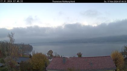 Spiez › Norden: Thunersee