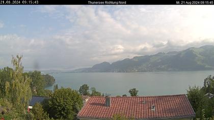 Spiez › Norden: Thunersee