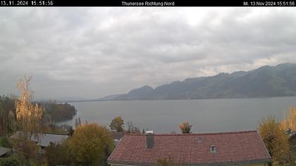 Spiez › Norden: Thunersee