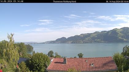 Spiez › Norden: Thunersee