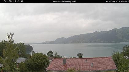 Spiez › Norden: Thunersee