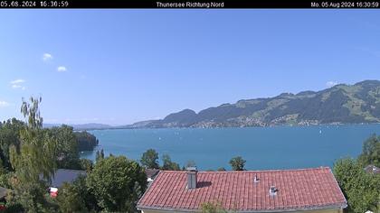 Spiez › Norden: Thunersee