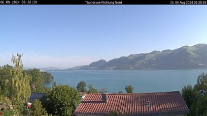 Spiez › Norden: Thunersee