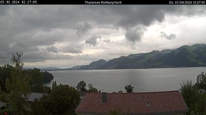 Spiez › Norden: Thunersee