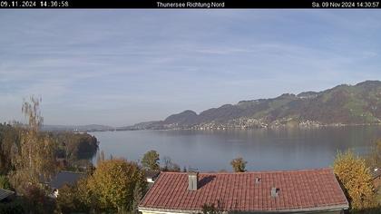 Spiez › Norden: Thunersee