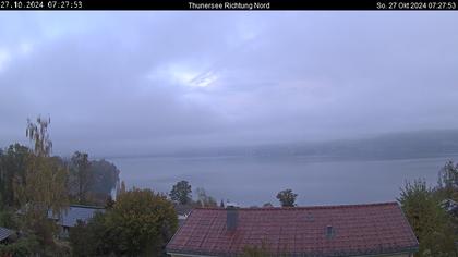 Spiez › Norden: Thunersee