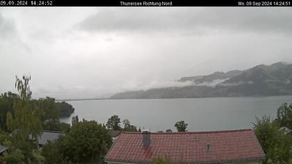 Spiez › Norden: Thunersee