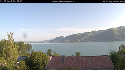 Spiez › Norden: Thunersee