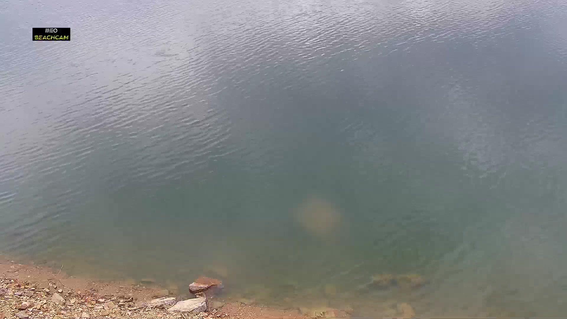 Lamarosa durante o dia