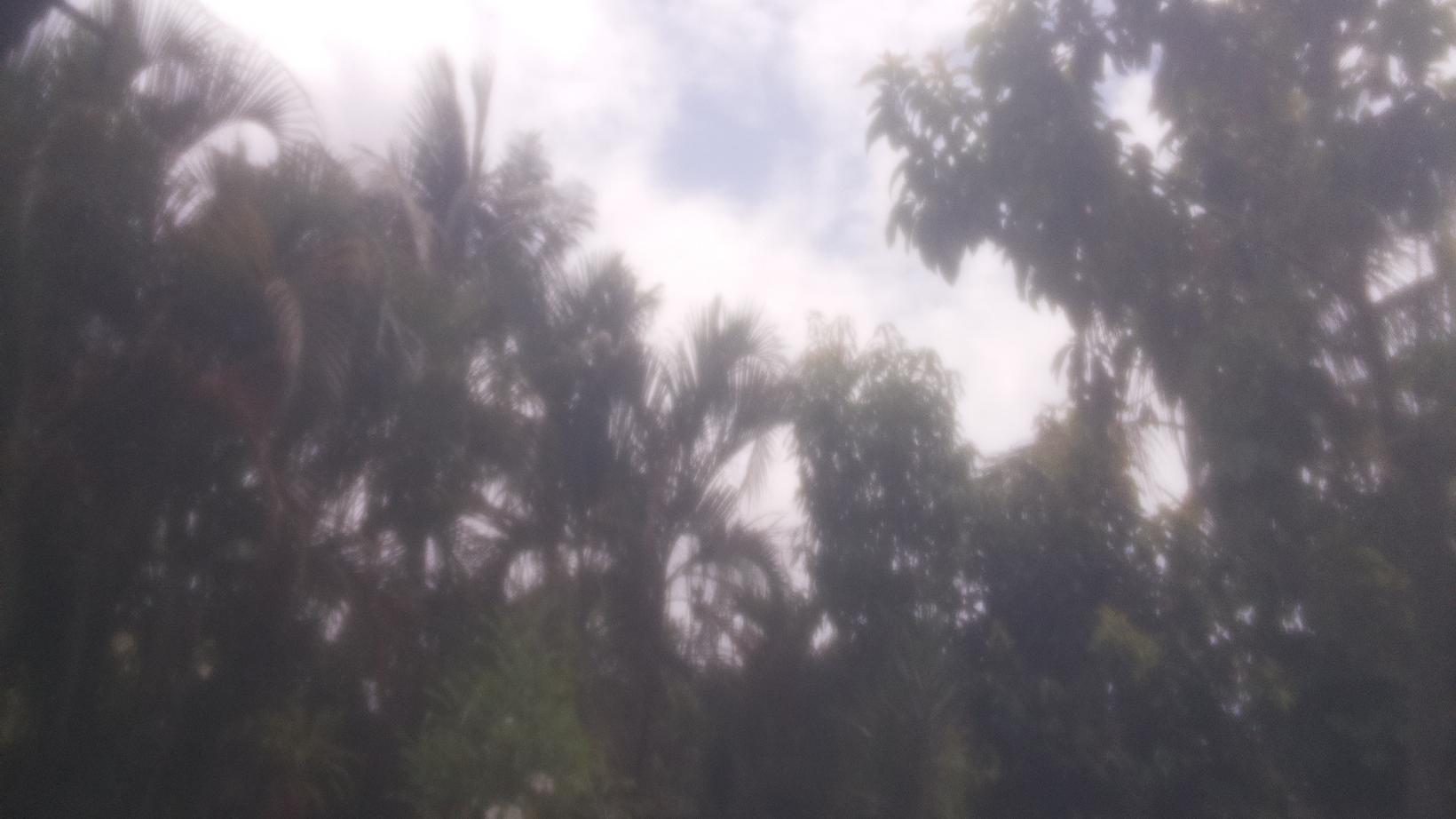 Paramaribo › East