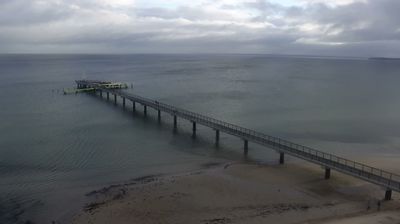 Scharbeutz: Livespotting - Lübecker Bucht