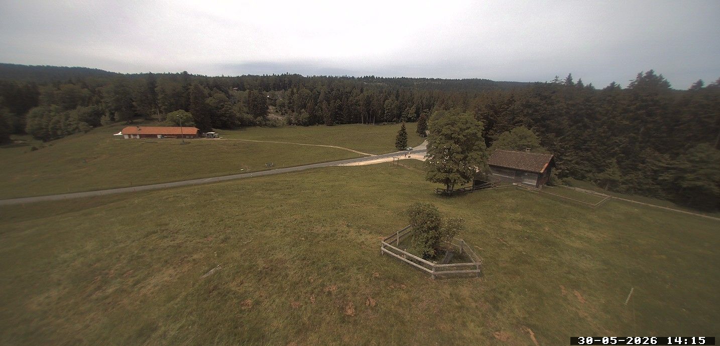 Saint-George