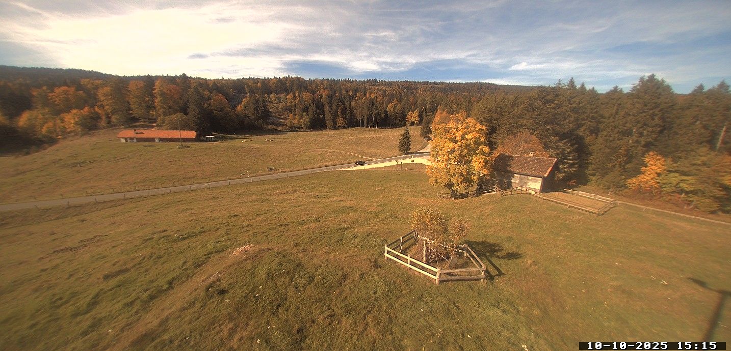 Saint-George