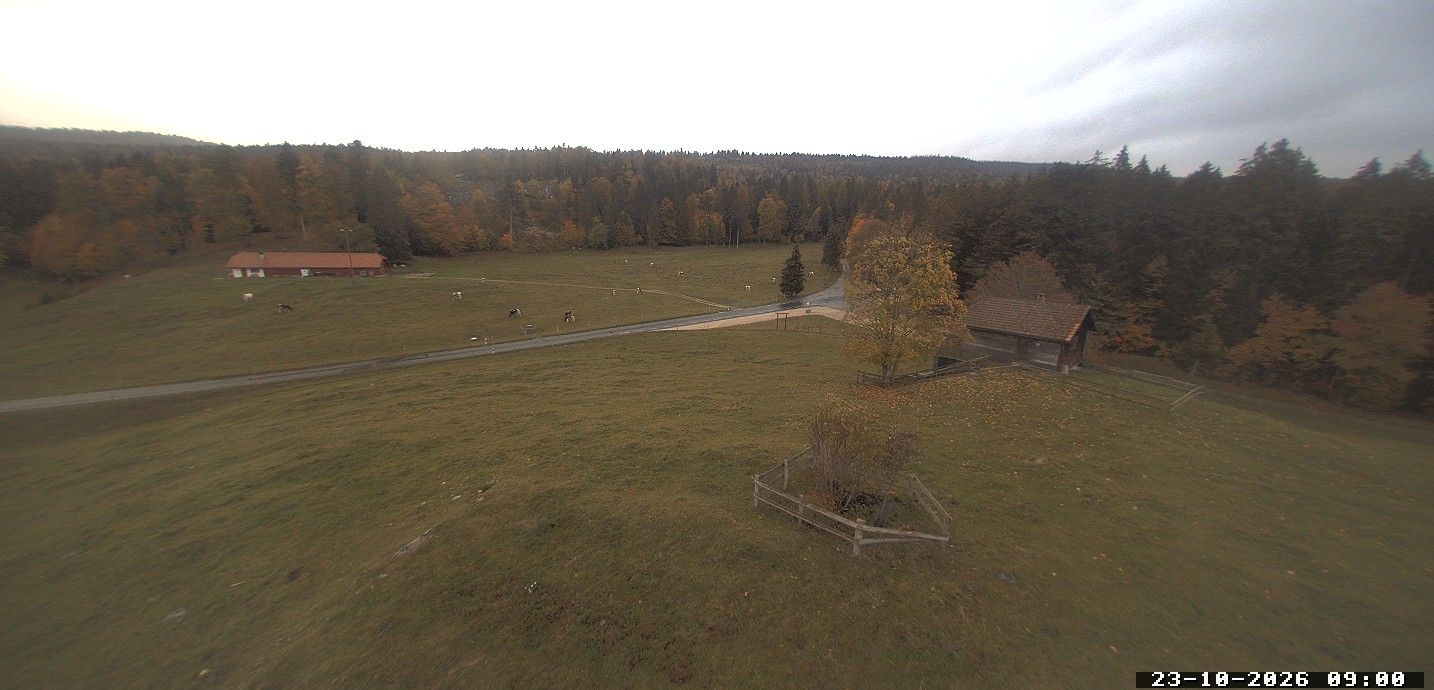 Saint-George