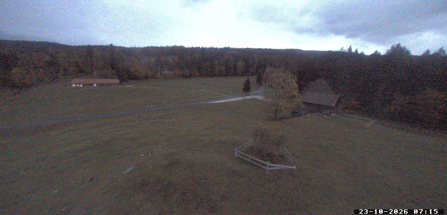 Saint-George