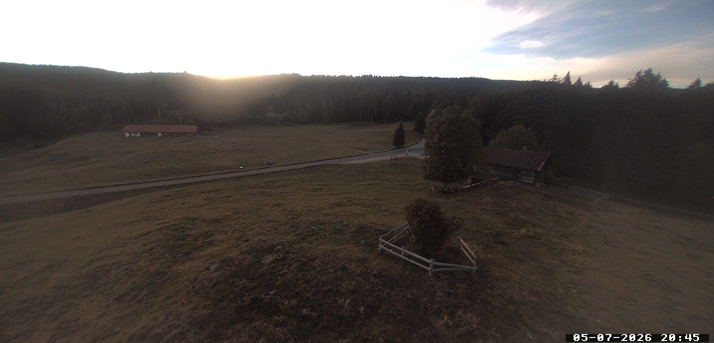 Saint-George