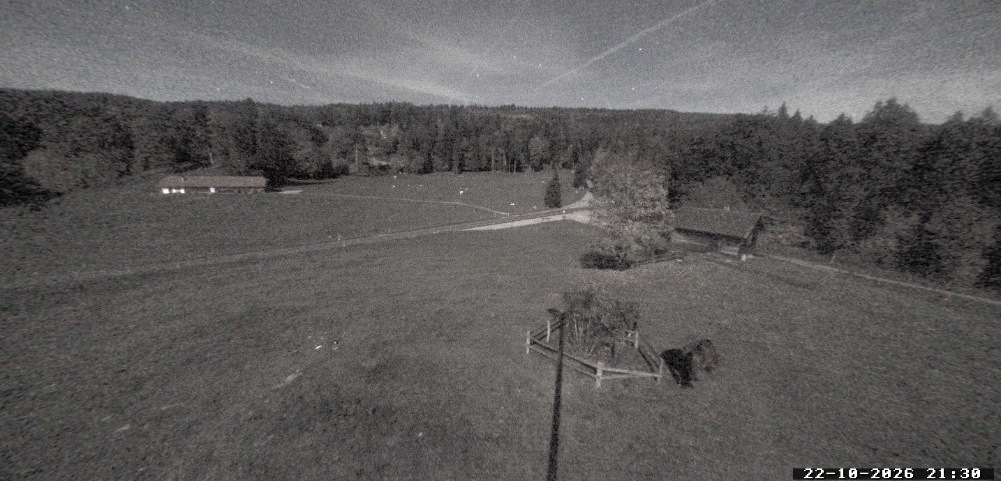 Saint-George