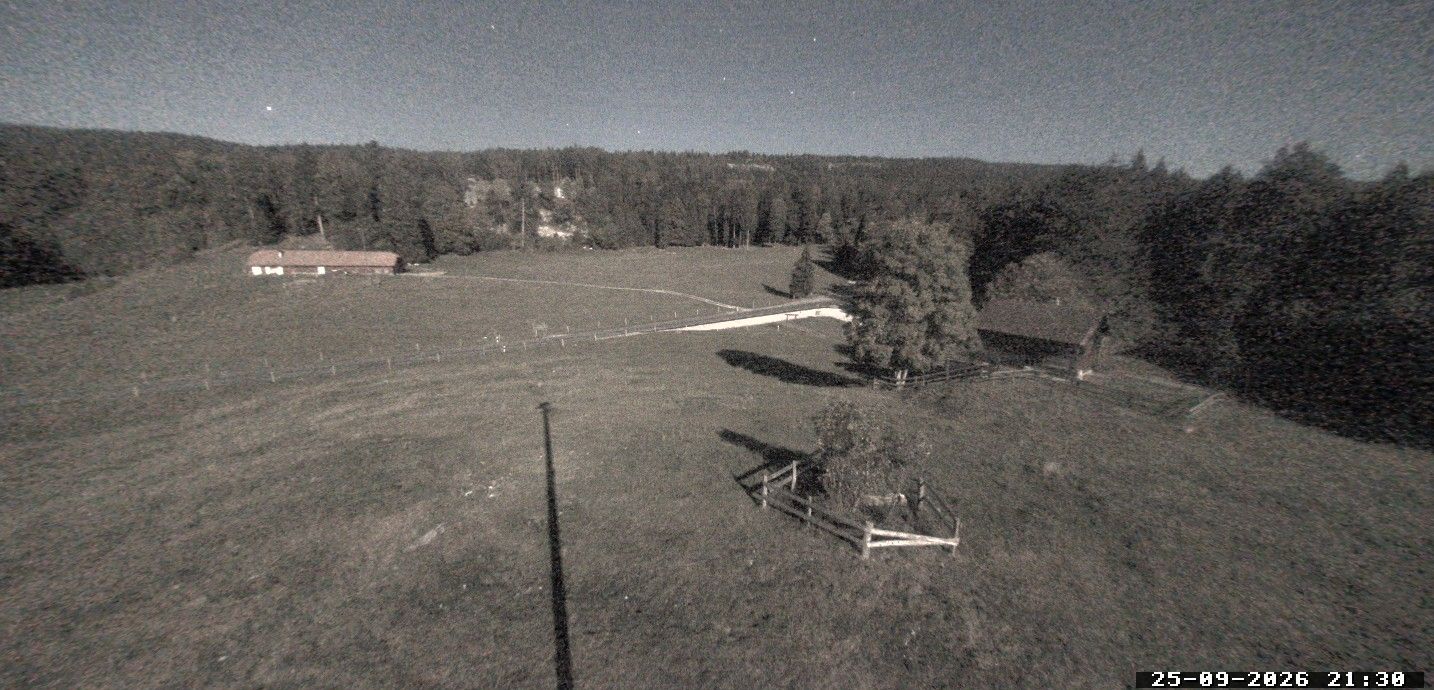 Saint-George
