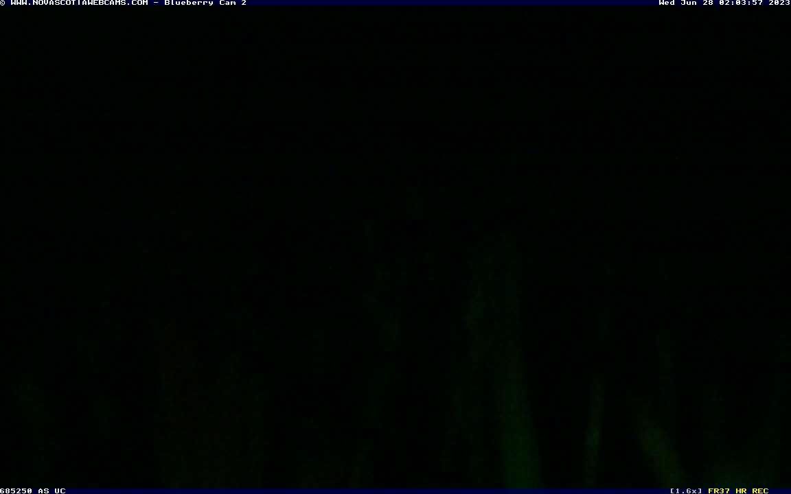 Traffic Cam Debert › South-East: Wild Blueberry Cam 2