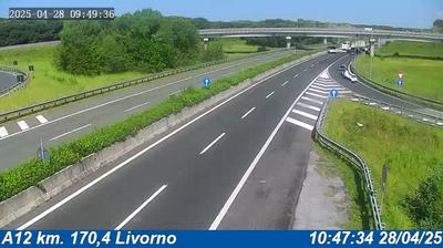 Preview delle webcam di Pisa: A12 km. 170,4 Livorno