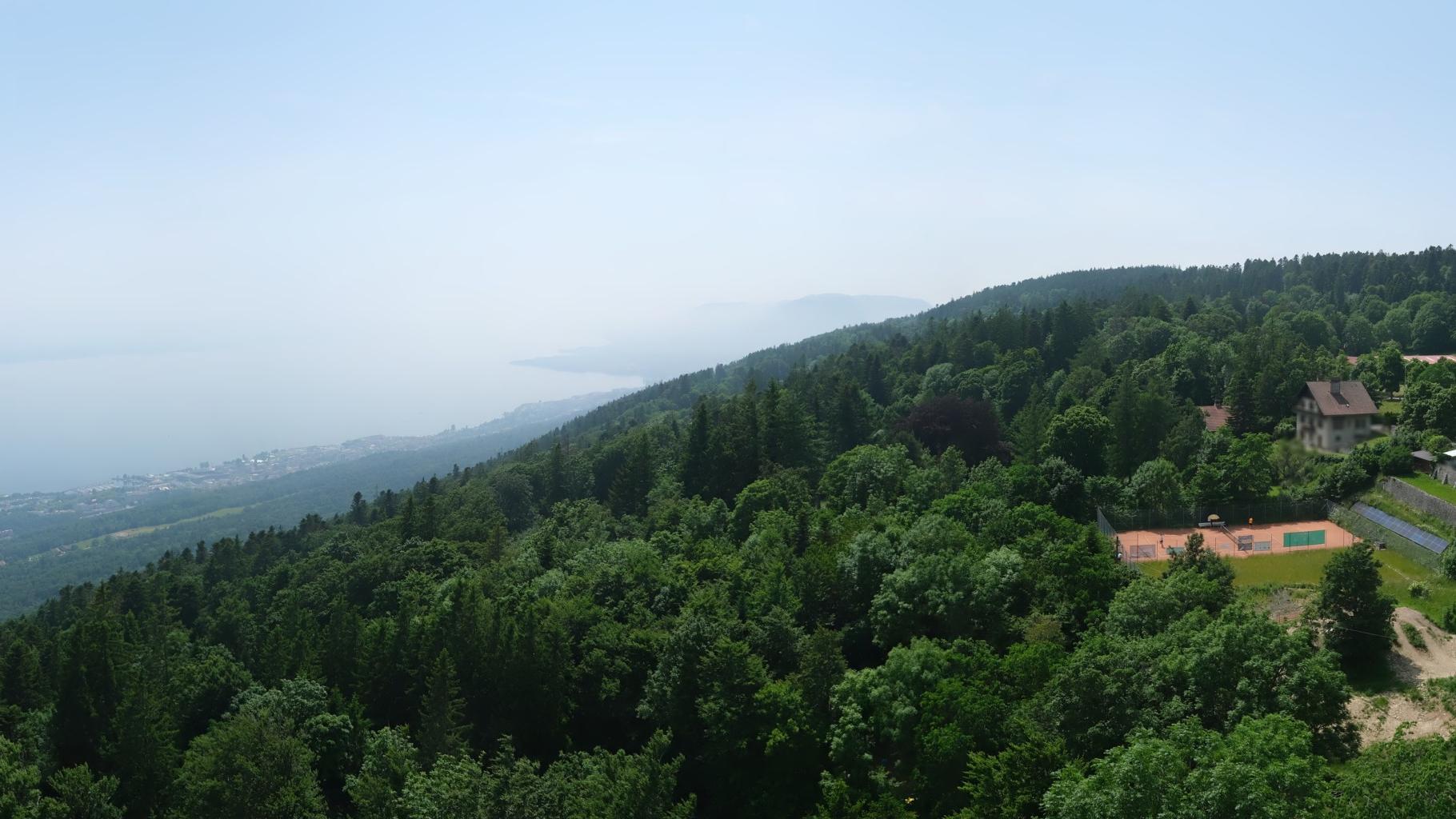 Neuchatel lake Webcam