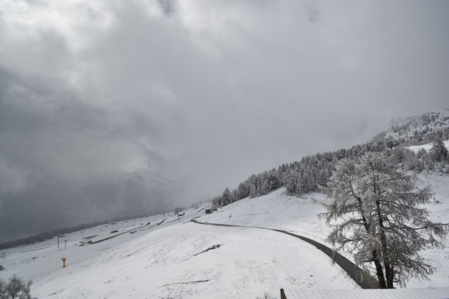 Vex: Matze - Thyon