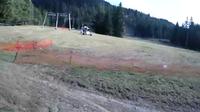 Valea Crisului: Sugas