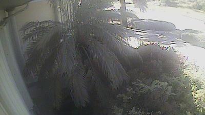 Daylight webcam view from Driftwood Village: Cayman Chillin Cam 4, Grand Cayman