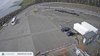 Hestur: Gamlarætt