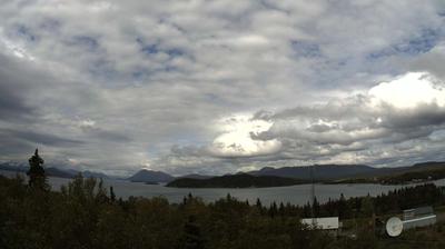 Forest & Lake View: Aleknagik North-East