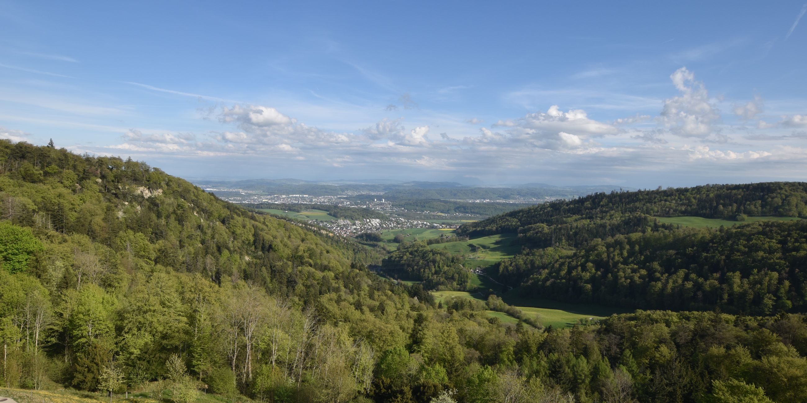 Erlinsbach › Süden: Barmelweid