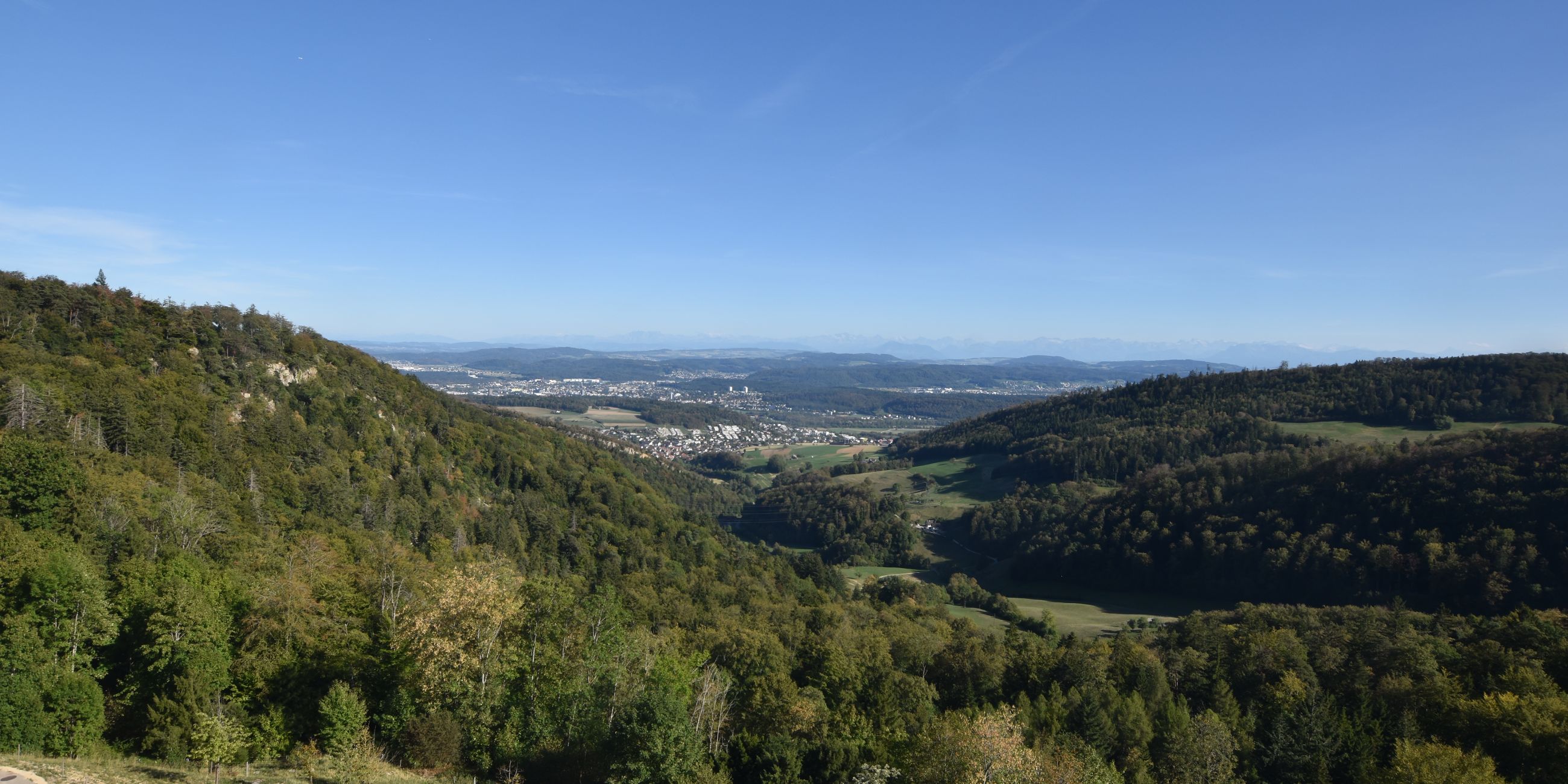 Erlinsbach › Süden: Barmelweid