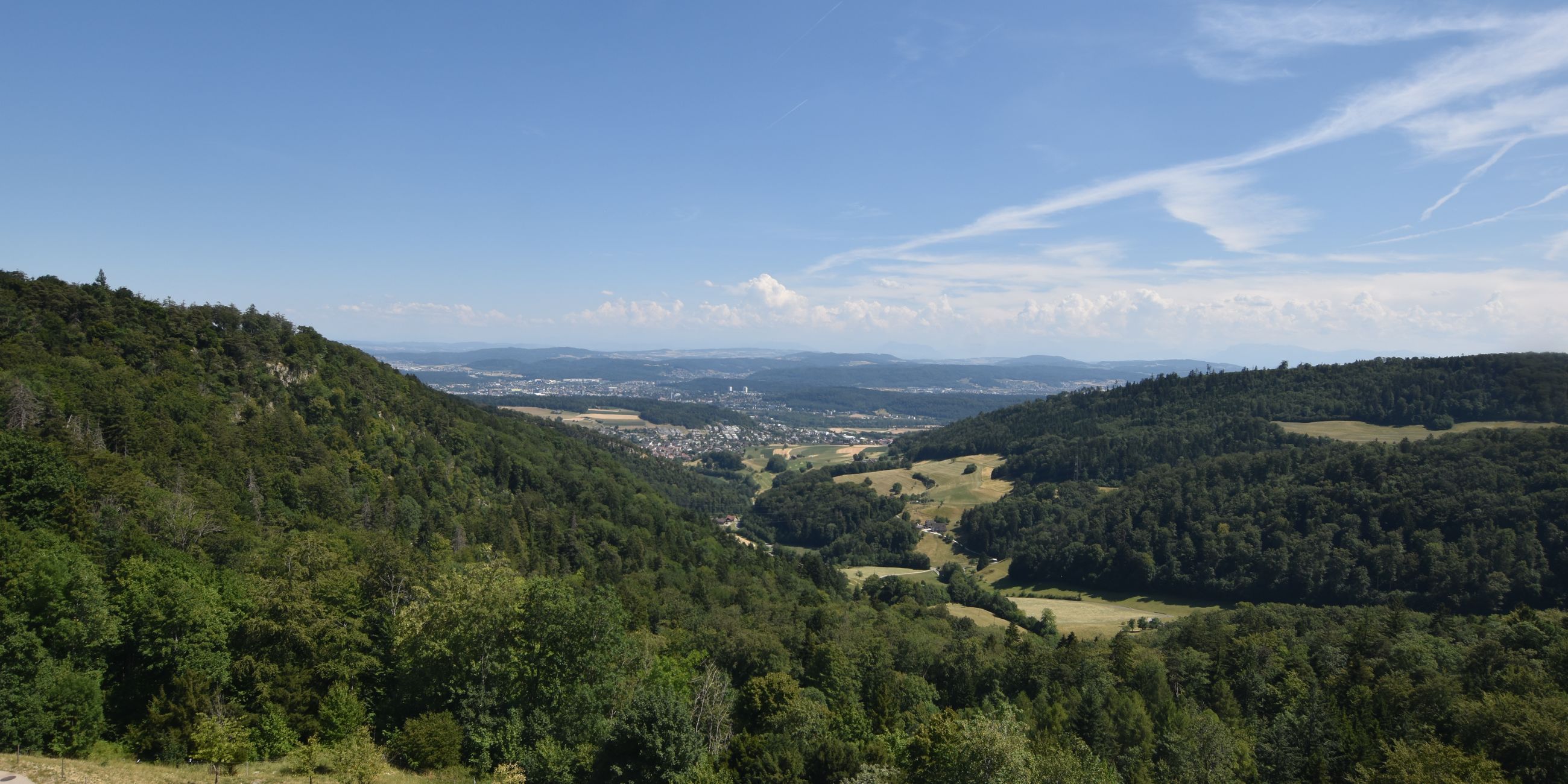 Erlinsbach › Süden: Barmelweid