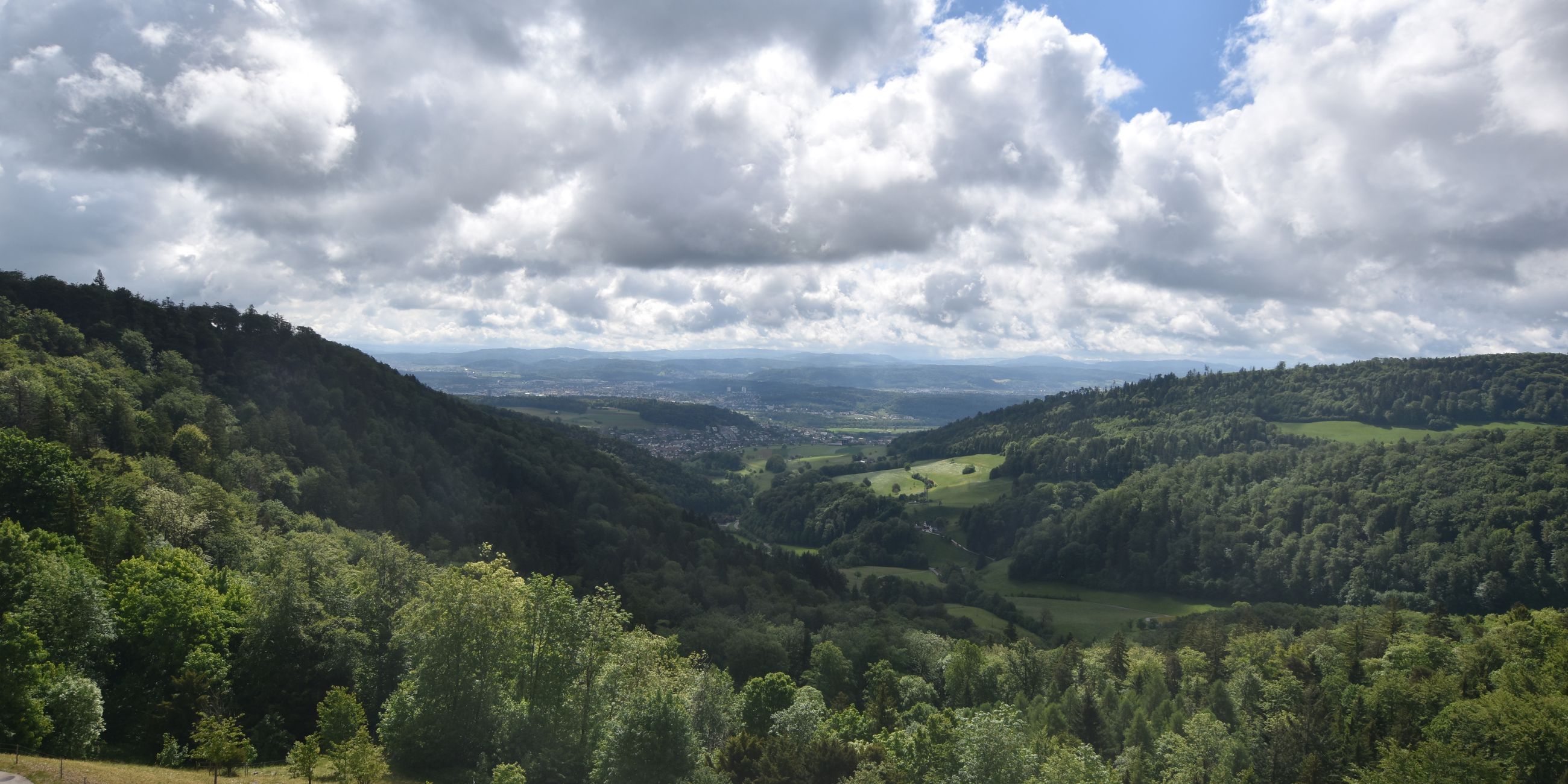 Erlinsbach › Süden: Barmelweid