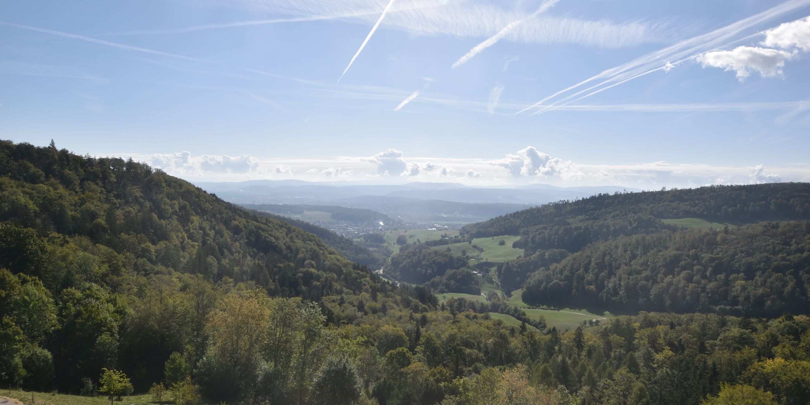 Erlinsbach › Süden: Barmelweid