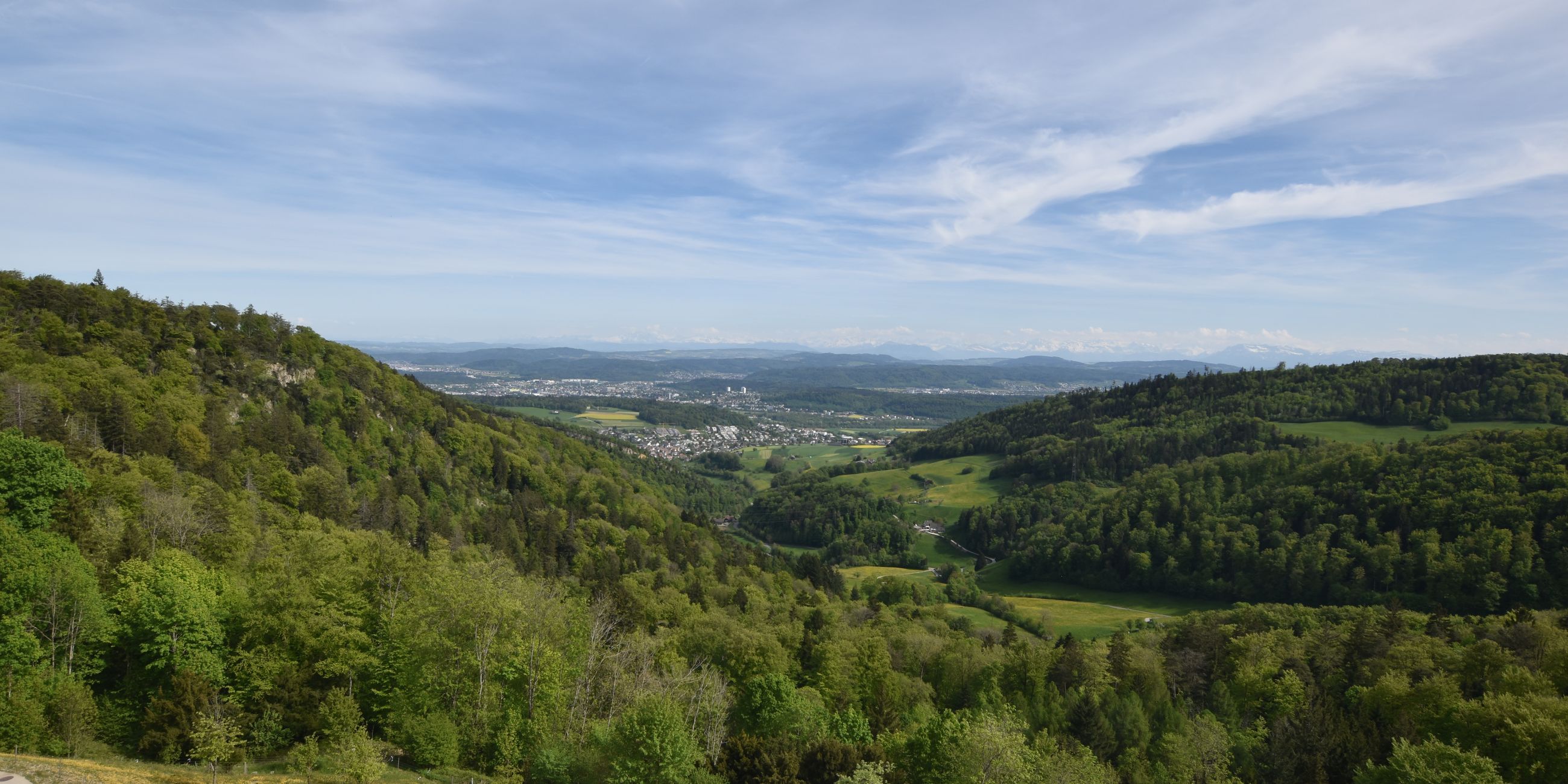 Erlinsbach › Süden: Barmelweid