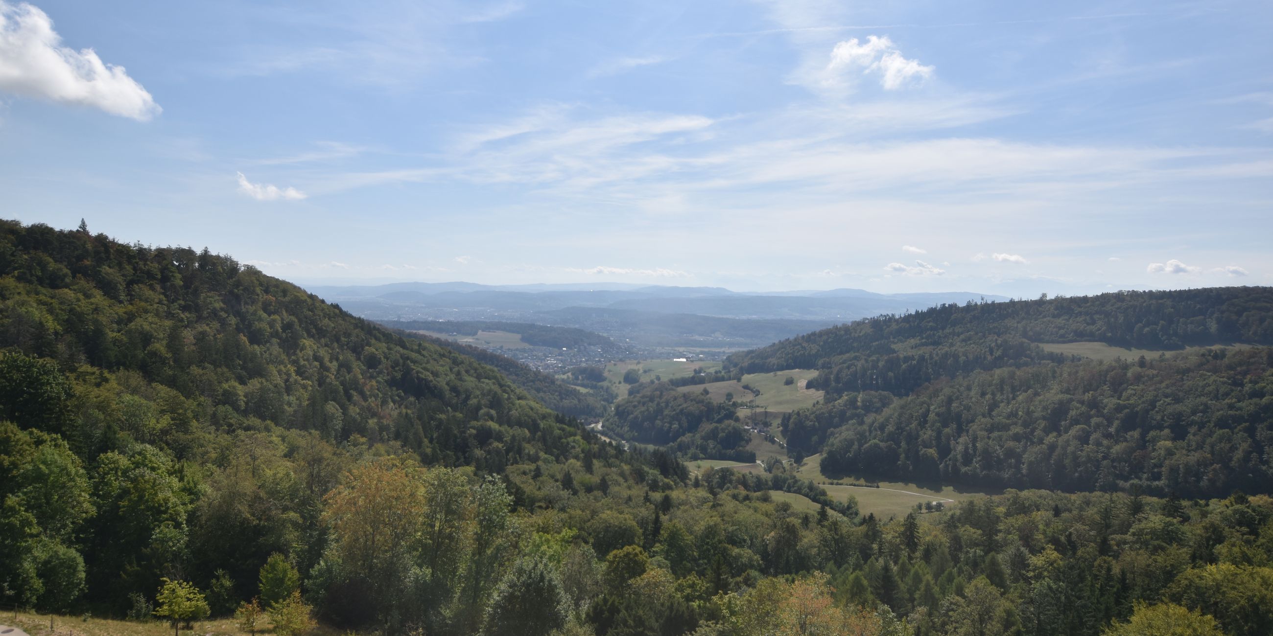 Erlinsbach › Süden: Barmelweid