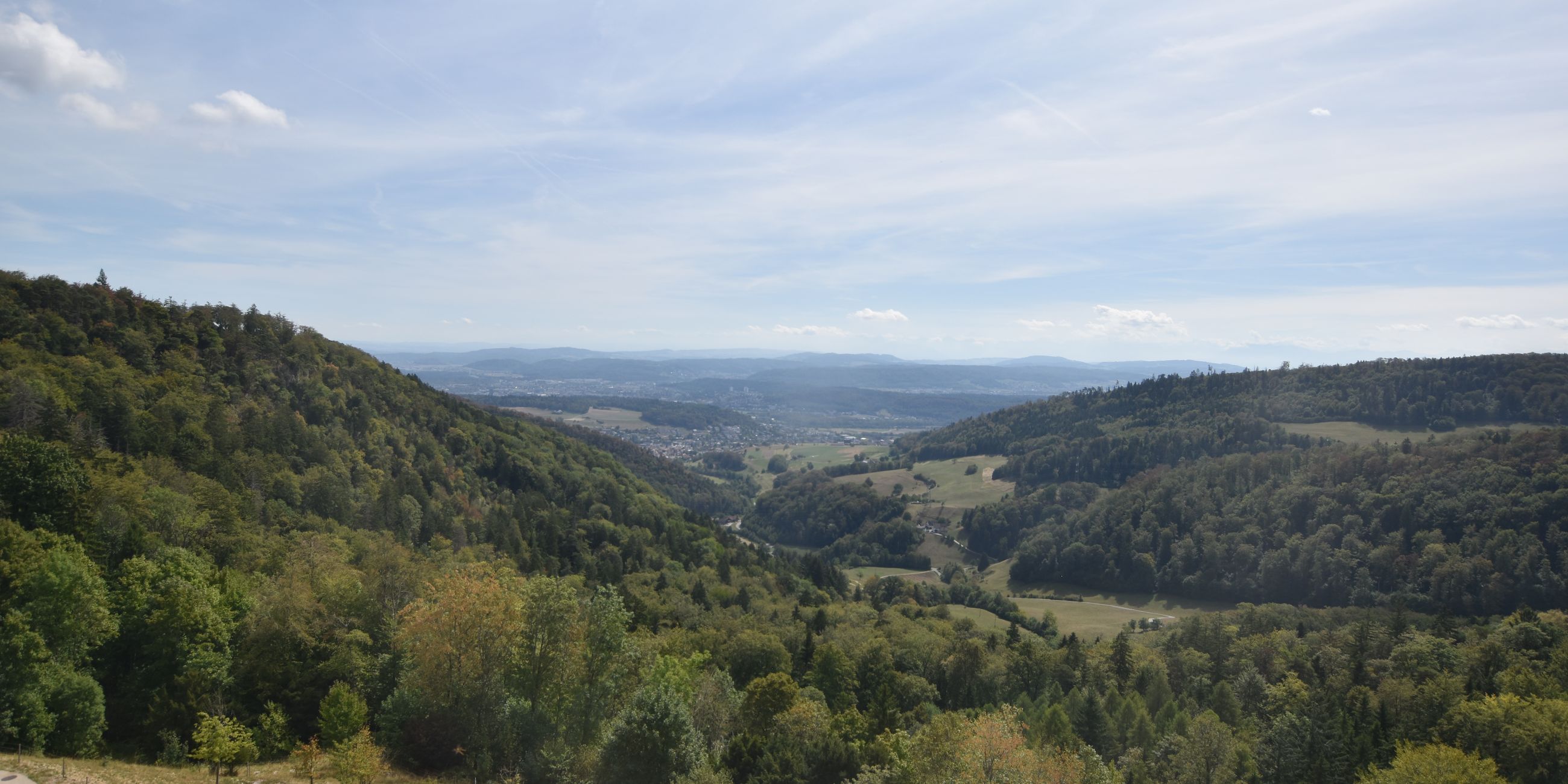 Erlinsbach › Süden: Barmelweid