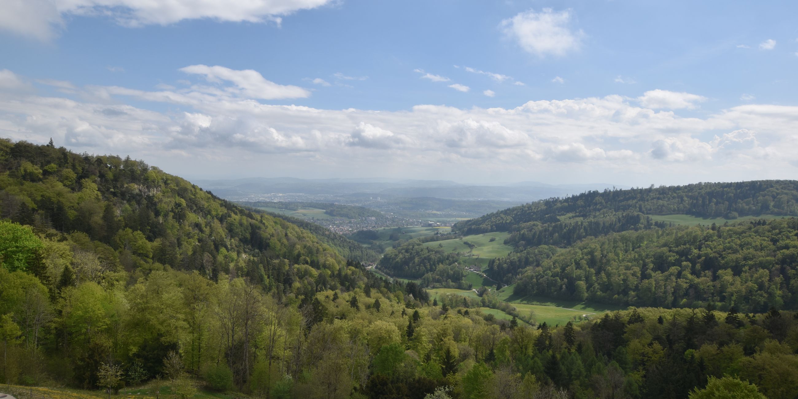 Erlinsbach › Süden: Barmelweid