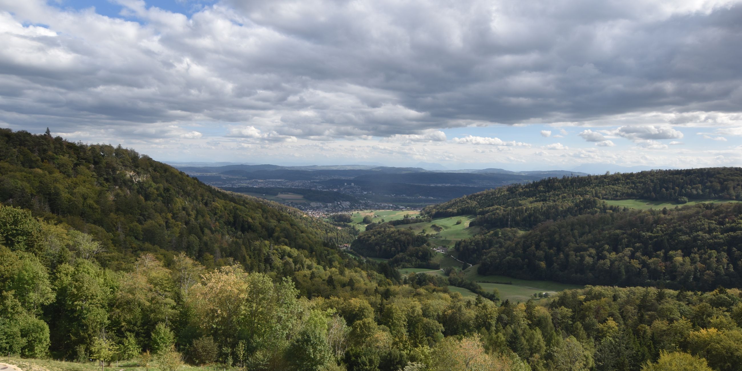 Erlinsbach › Süden: Barmelweid