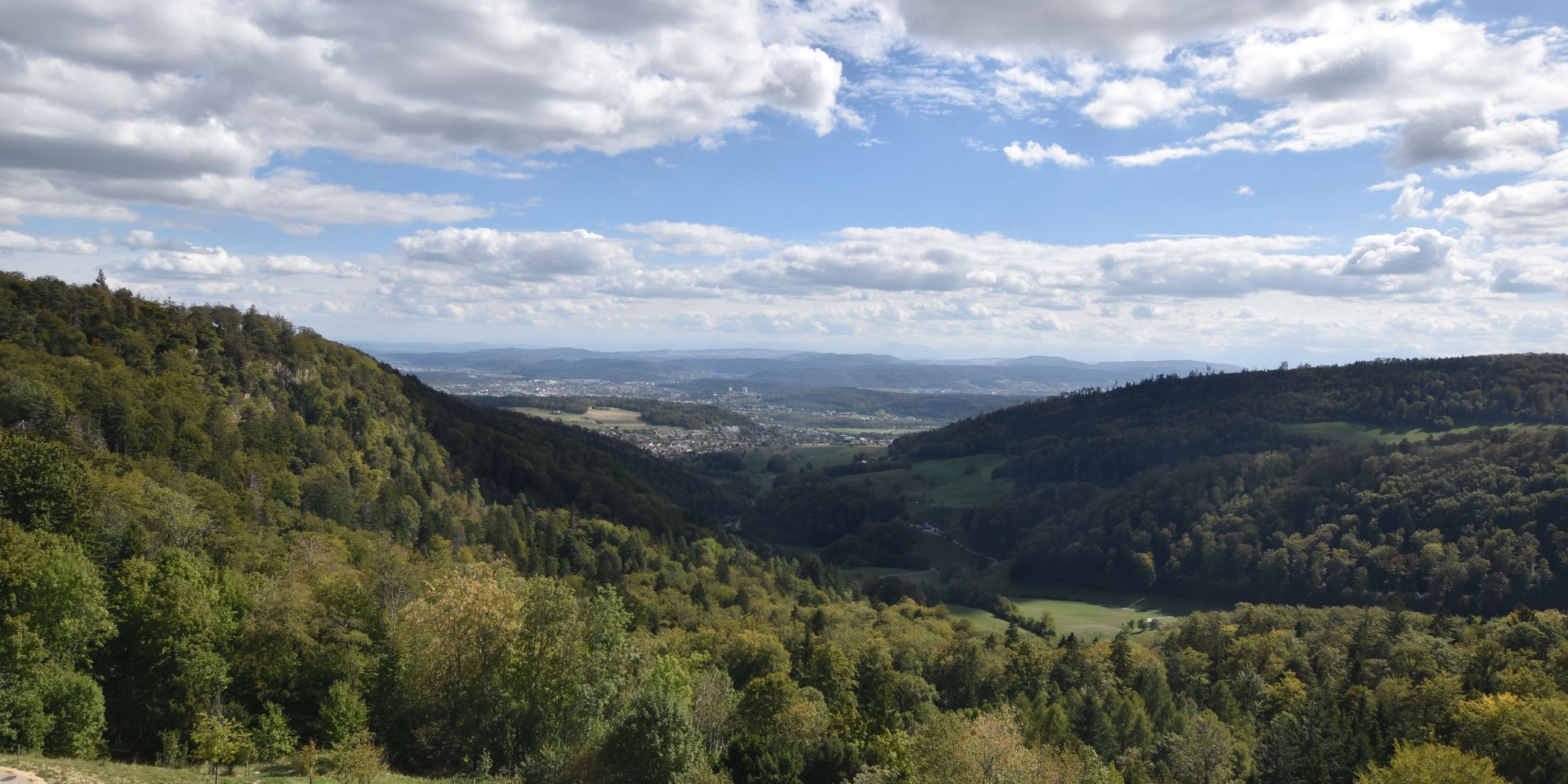 Erlinsbach › Süden: Barmelweid